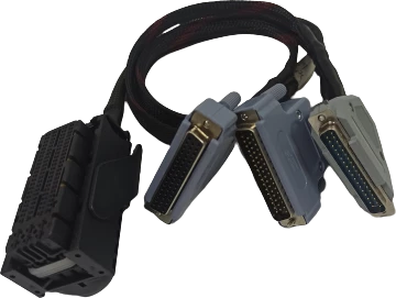 Beyin tamir soketleri